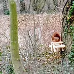 Neuf Et Cosy Dans Un Ecrin De Nature Vendeuil-Caply