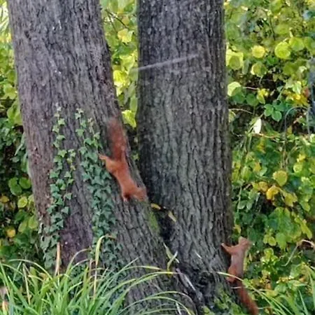 Neuf Et Cosy Dans Un Ecrin De Nature * Vendeuil-Caply