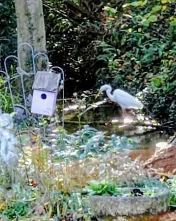 Apartmán Neuf Et Cosy Dans Un Ecrin De Nature *