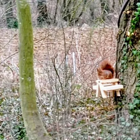 Neuf Et Cosy Dans Un Ecrin De Nature Vendeuil-Caply
