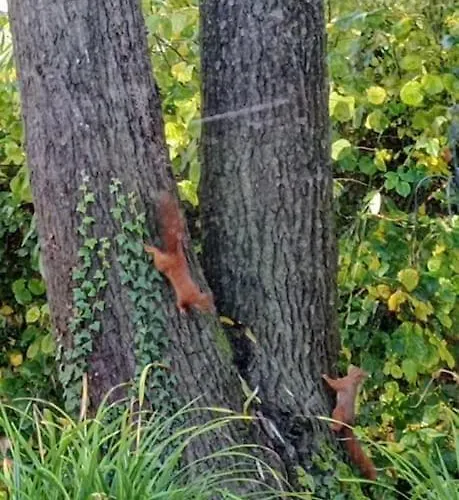 Neuf Et Cosy Dans Un écrin De Nature * Vendeuil-Caply
