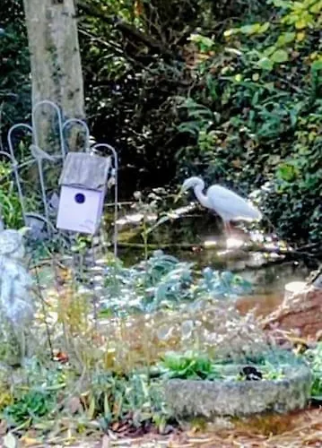Appartement Neuf Et Cosy Dans Un écrin De Nature *
