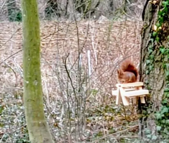 Neuf Et Cosy Dans Un écrin De Nature Vendeuil-Caply